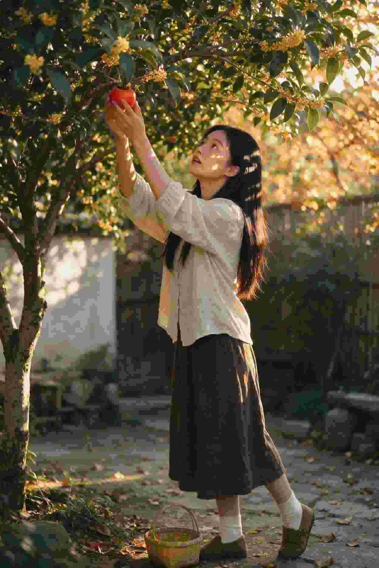 女皇之路
